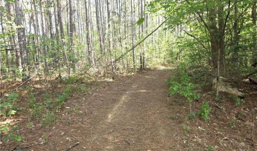 Photo #8 of xx 31.85 +-ac Hampton, Germanton, NC 31.9 acres