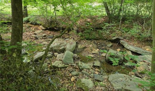 Photo #25 of xx 31.85 +-ac Hampton, Germanton, NC 31.9 acres