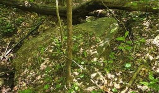 Photo #16 of Goose Creek, Ararat, VA 10.6 acres