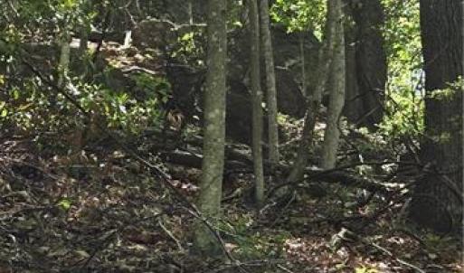 Part of the Rock Face through the trees