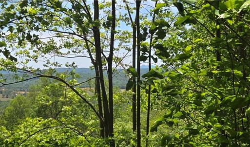 Views on the way down to the Southeast