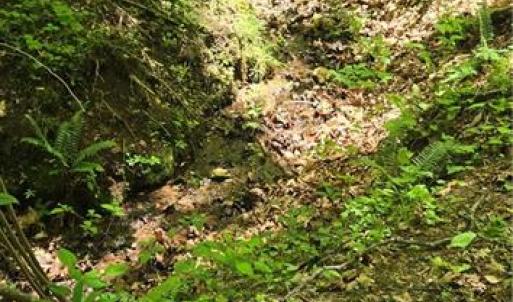 Photo #14 of Goose Creek, Ararat, VA 10.6 acres