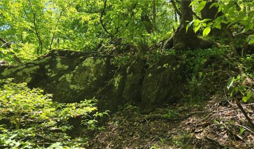 Photo #15 of Goose Creek, Ararat, VA 10.6 acres