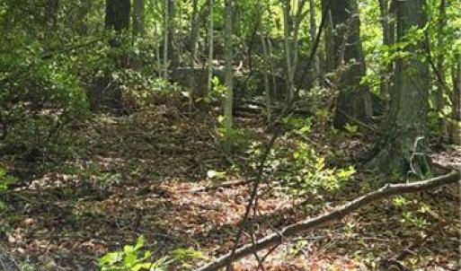Photo #8 of Goose Creek, Ararat, VA 10.6 acres