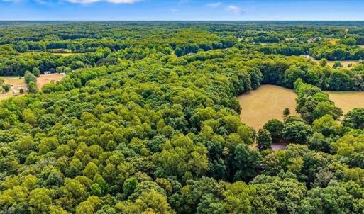 Photo #7 of 8471 Linville, Oak Ridge, NC 14.7 acres