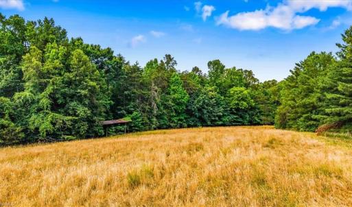 Photo #3 of 8471 Linville, Oak Ridge, NC 14.7 acres
