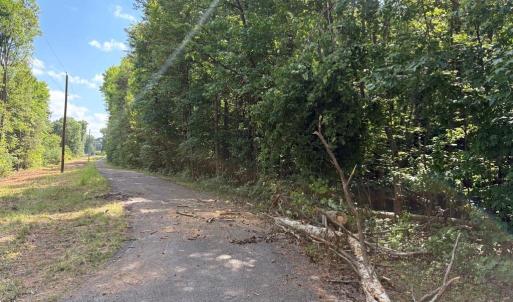 Photo #7 of Cure, Madison, NC 13.9 acres