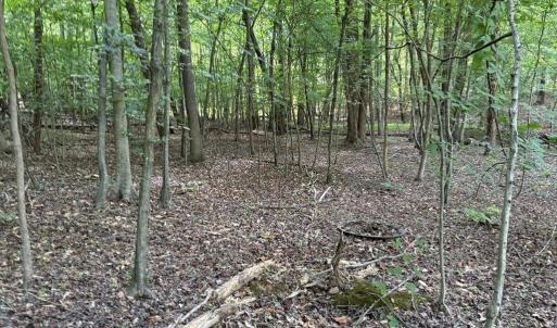 Photo #9 of Cure, Madison, NC 13.9 acres