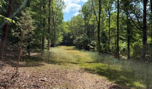 Photo #8 of Cure, Madison, NC 13.9 acres
