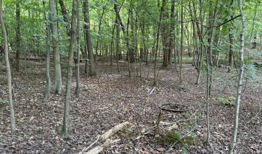 Photo #9 of Cure, Madison, NC 13.9 acres