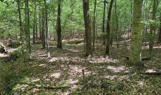 Photo #2 of Lot 5 Woods, Seagrove, NC 11.1 acres