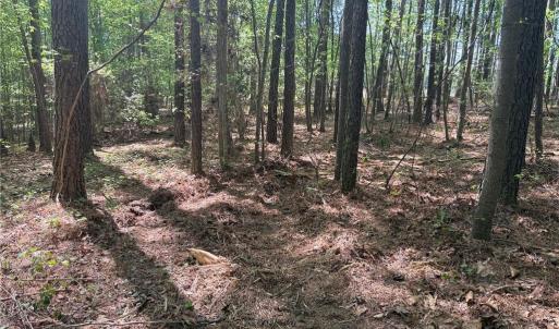 Photo #6 of Lot 5 Woods, Seagrove, NC 11.1 acres