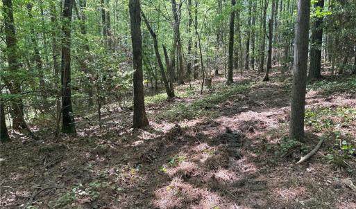 Photo #7 of Lot 5 Woods, Seagrove, NC 11.1 acres