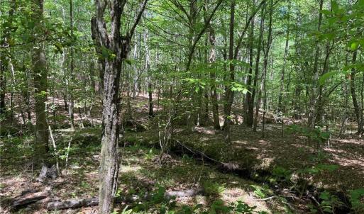 Photo #3 of Lot 5 Woods, Seagrove, NC 11.1 acres