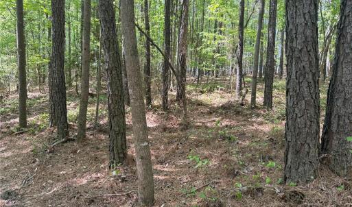 Photo #8 of Lot 5 Woods, Seagrove, NC 11.1 acres