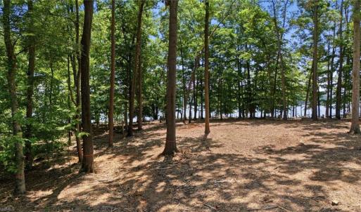 Photo #6 of 268 Kendricks, Lexington, NC 2.7 acres