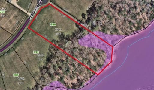 Estimated lot lines from the Davidson County GIS