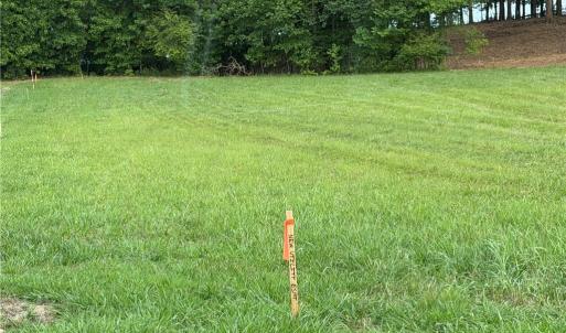 Photo #5 of 268 Kendricks, Lexington, NC 2.7 acres