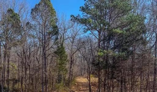 Photo #2 of 1710 Efland Cedar Grove, Efland, NC 10.2 acres