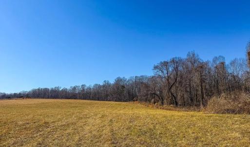 Photo #12 of 1710 Efland Cedar Grove, Efland, NC 10.2 acres