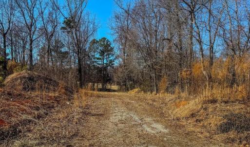 Photo #14 of 1710 Efland Cedar Grove, Efland, NC 10.2 acres