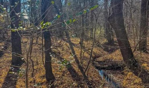 Photo #4 of 1710 Efland Cedar Grove, Efland, NC 10.2 acres