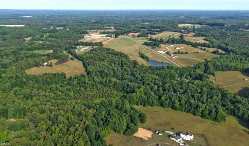 Photo #23 of 6810 Sawyer, Liberty, NC 11.4 acres