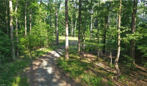 Photo #10 of 6810 Sawyer, Liberty, NC 11.4 acres
