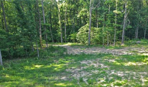 Photo #12 of 6810 Sawyer, Liberty, NC 11.4 acres