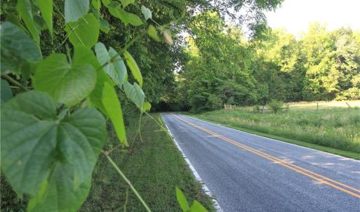 Photo #7 of 6810 Sawyer, Liberty, NC 11.4 acres
