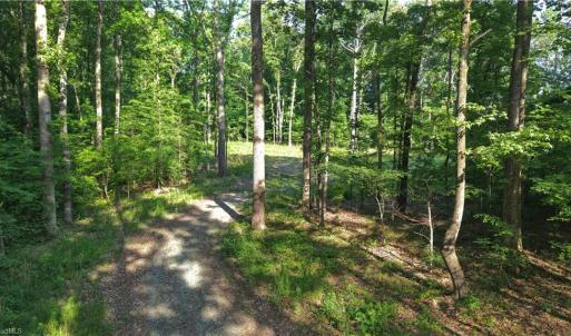 Photo #10 of 6810 Sawyer, Liberty, NC 11.4 acres