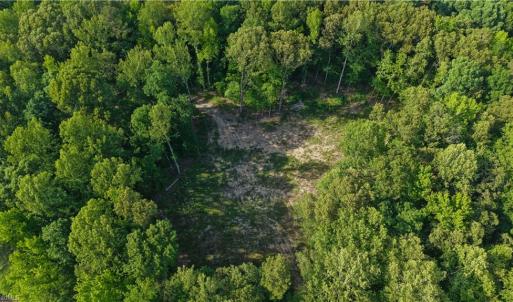 Photo #19 of 6810 Sawyer, Liberty, NC 11.4 acres