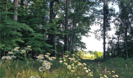 Photo #14 of 6810 Sawyer, Liberty, NC 11.4 acres