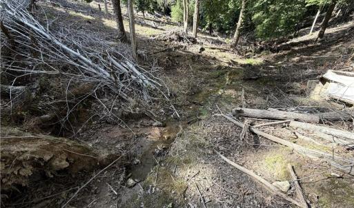 Photo #13 of Stewart, Walnut Cove, NC 13.9 acres