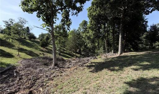 Photo #6 of Stewart, Walnut Cove, NC 13.9 acres