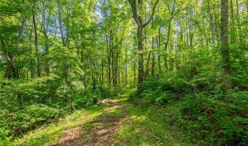 Photo #46 of 8730 Lee, Copper Hill, VA 43.6 acres