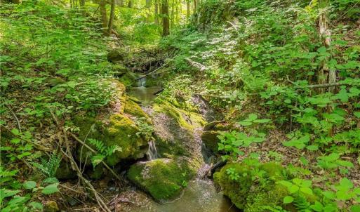 Photo #49 of 8730 Lee, Copper Hill, VA 43.6 acres