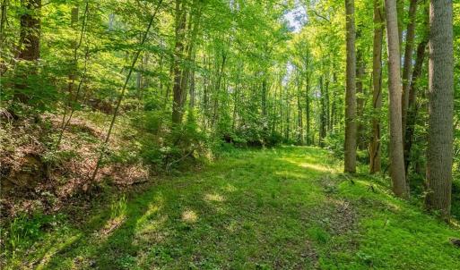 Photo #33 of 8730 Lee, Copper Hill, VA 43.6 acres
