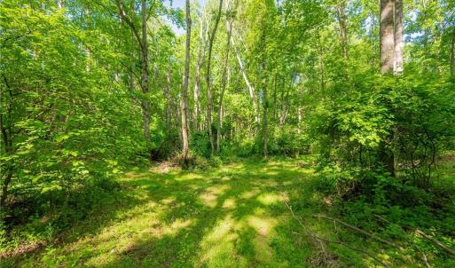 Photo #44 of 8730 Lee, Copper Hill, VA 43.6 acres