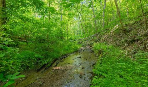 Photo #4 of 8730 Lee, Copper Hill, VA 43.6 acres