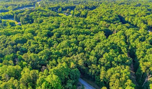 Photo #18 of Roy Coppley, Lexington, NC 16.9 acres