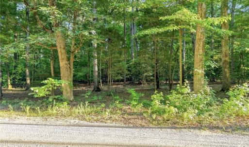 Photo #8 of Roy Coppley, Lexington, NC 16.9 acres