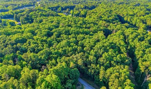 Photo #18 of Roy Coppley, Lexington, NC 16.9 acres