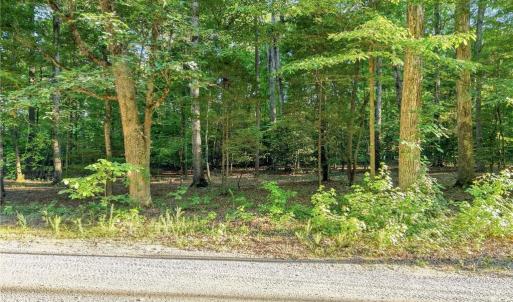 Photo #8 of Roy Coppley, Lexington, NC 16.9 acres