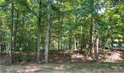 Photo #2 of 196 Larkspur, Lexington, NC 0.8 acres