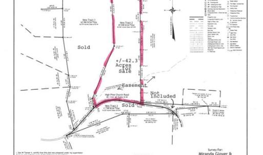 Survey Plat, sale area is east area marked pink