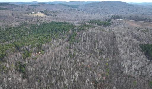 High Pine Church Rd looking north along east boundary