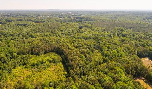 Photo #2 of Broken Arrow, Elon, NC 25.4 acres
