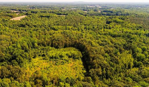 Photo #4 of Broken Arrow, Elon, NC 25.4 acres
