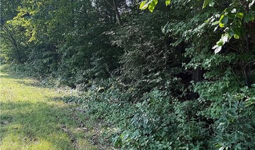 Photo #2 of US Highway 64, Trinity, NC 4.6 acres